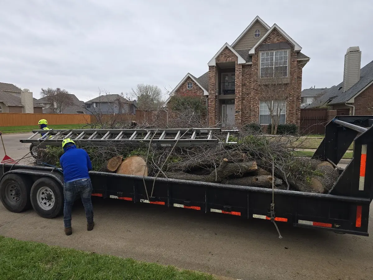 Expert Tree Fertilization with proper safety equipment in Brookland